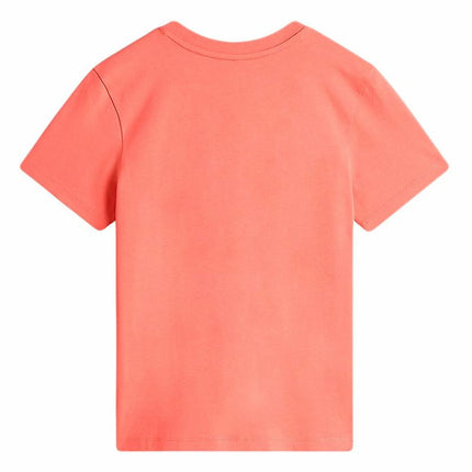 V6H8F65691775D1973436DF76AE50AA3D16R6632885P2