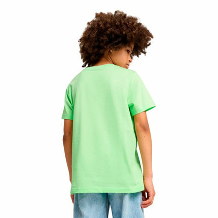 V3H40DC0DA7CC115D692C2FF650B443BCAFR6088253P4