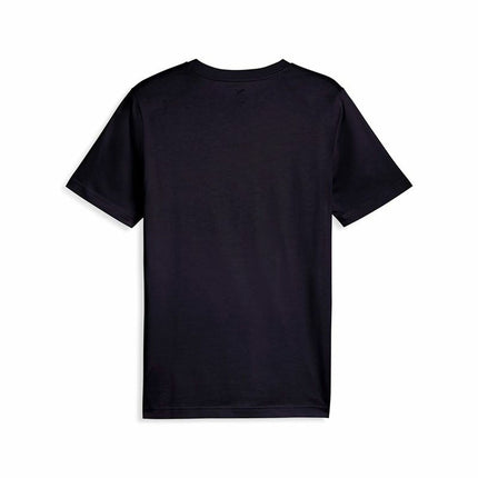 V3H476C98BEAA50222ECD8CD5BA89733054R6603891P2