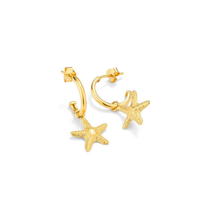 V5H6B6DA2AFBDEDB651D4D587A49E144BF6R4243699P2