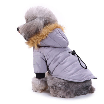 Winter clothing for pets