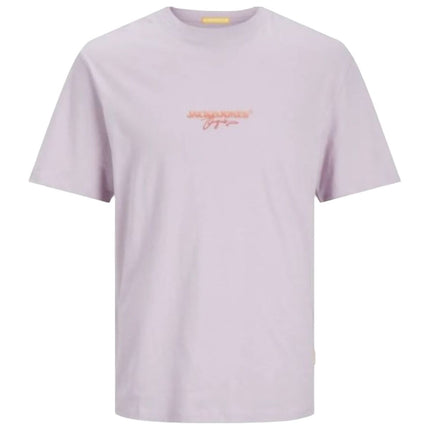 V2H699283F7F61E5F965DBE08499F0DB02BR7070673P1